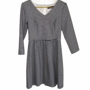 The Limited Black and White Striped Ponte Dress